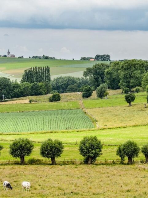 Vlaamse Ardennen