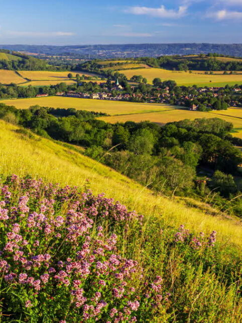 Sussex Countryside